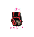 愛しのにゃんず（個別スタンプ：4）