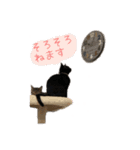 愛しのにゃんず（個別スタンプ：16）