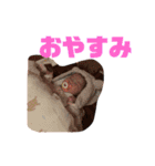気まぐれ一凛スタンプ（個別スタンプ：18）
