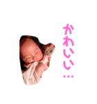 気まぐれ一凛スタンプ（個別スタンプ：34）