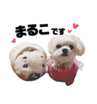 まるちゃん♡♡（個別スタンプ：1）