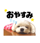 まるちゃん♡♡（個別スタンプ：3）