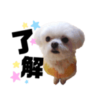 まるちゃん♡♡（個別スタンプ：5）