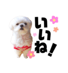 まるちゃん♡♡（個別スタンプ：14）