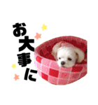 まるちゃん♡♡（個別スタンプ：17）