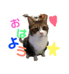 ⭐️大好きもっちゃん！⭐️（個別スタンプ：1）