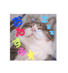 ⭐️大好きもっちゃん！⭐️（個別スタンプ：2）