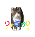 ⭐️大好きもっちゃん！⭐️（個別スタンプ：3）
