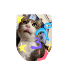 ⭐️大好きもっちゃん！⭐️（個別スタンプ：7）