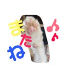 ⭐️大好きもっちゃん！⭐️（個別スタンプ：9）