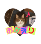 ⭐️大好きもっちゃん！⭐️（個別スタンプ：10）
