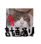 ⭐️大好きもっちゃん！⭐️（個別スタンプ：18）