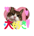 ⭐️大好きもっちゃん！⭐️（個別スタンプ：25）