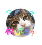 ⭐️大好きもっちゃん！⭐️（個別スタンプ：28）