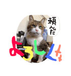⭐️大好きもっちゃん！⭐️（個別スタンプ：30）