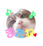 ⭐️大好きもっちゃん！⭐️（個別スタンプ：31）