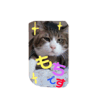 ⭐️大好きもっちゃん！⭐️（個別スタンプ：32）