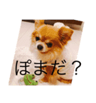 ちい坊よ2（個別スタンプ：5）