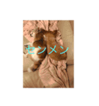 ちい坊よ2（個別スタンプ：6）
