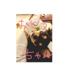 ちい坊よ2（個別スタンプ：9）