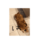 ちい坊よ2（個別スタンプ：11）