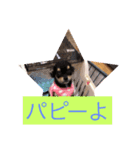 ちい坊よ2（個別スタンプ：12）