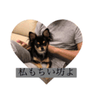 ちい坊よ2（個別スタンプ：13）