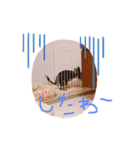 ちい坊よ2（個別スタンプ：15）