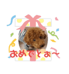 高篠ロペ②（個別スタンプ：1）