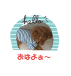 高篠ロペ②（個別スタンプ：4）