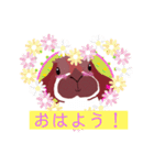オシャレうさぎ♡ロップイヤー♡ジャッキー（個別スタンプ：1）