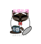 ラグドールのラテさん（個別スタンプ：7）