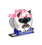 ラグドールのラテさん（個別スタンプ：11）