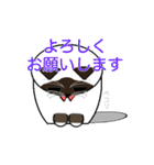 ラグドールのラテさん（個別スタンプ：13）