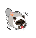 ラグドールのラテさん（個別スタンプ：16）