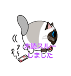 ラグドールのラテさん（個別スタンプ：24）
