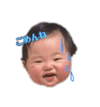 えな図鑑（個別スタンプ：16）
