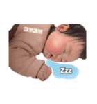 えな図鑑（個別スタンプ：22）