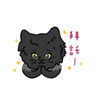 恥ずかしがり屋の黒い猫2-日常会話（個別スタンプ：1）