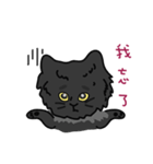 恥ずかしがり屋の黒い猫2-日常会話（個別スタンプ：4）