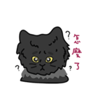 恥ずかしがり屋の黒い猫2-日常会話（個別スタンプ：5）