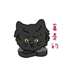 恥ずかしがり屋の黒い猫2-日常会話（個別スタンプ：6）