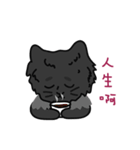恥ずかしがり屋の黒い猫2-日常会話（個別スタンプ：8）