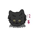 恥ずかしがり屋の黒い猫2-日常会話（個別スタンプ：9）