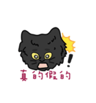 恥ずかしがり屋の黒い猫2-日常会話（個別スタンプ：16）