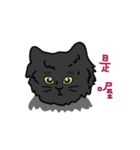 恥ずかしがり屋の黒い猫2-日常会話（個別スタンプ：19）