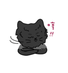 恥ずかしがり屋の黒い猫2-日常会話（個別スタンプ：20）