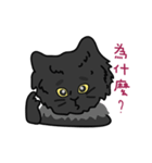 恥ずかしがり屋の黒い猫2-日常会話（個別スタンプ：22）
