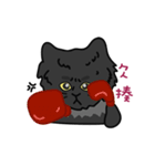 恥ずかしがり屋の黒い猫2-日常会話（個別スタンプ：23）