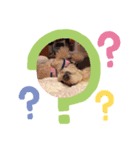 アロエのスタンプ（個別スタンプ：6）